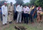 बारिश के दौरान अचानक जमीन धंसने से बनी एक रहस्यमयी सुरंग, बनी चर्चा का विषय