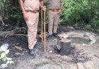 रायबरेली विशेष प्रवर्तन अभियान के तहत 48 लीटर अवैध कच्ची शराब व 320 किलो लहन बरामद, 04 अभियोग पंजीकृत