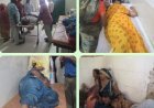 ऑटो व बाइक की टक्कर में ऑटो पलटा, पांच घायल, दो गंभीर