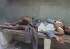 रायबरेली पागल सियार के हमले से 2 घायल, किया गया इलाज