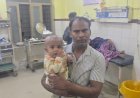 रायबरेली: रोडवेज बस और स्कॉर्पियो में आमने-सामने की जोरदार भिड़ंत, आधा दर्जन लोग घायल