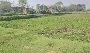 रायबरेली: डलमऊ ब्लॉक के रायपुर टप्पा हवेली में ग्राम प्रधान पर भ्रष्टाचार के गंभीर आरोप