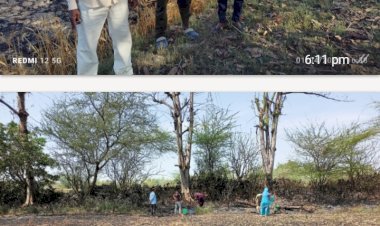 रायबरेली-दो अलग-अलग गांवों में पांच बीघा गेहूं की फसल जलकर हुई राख