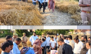 रायबरेली-जिलाधिकारी ने क्रॉप कटिंग कराकर गेहूँ की उत्पादकता का किया आकलन