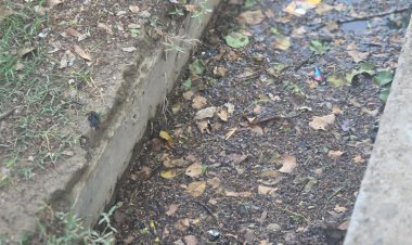 रायबरेली-DPRO साहब गांव की हकीकत स्वच्छ भारत मिशन की खुली रही पोल