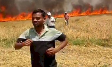 रायबरेली-गेहूं की खड़ी फसल में लगी भीषण आग, 20-25 बीघा फसल जलकर राख