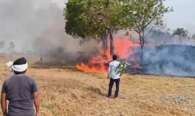 रायबरेली-अग्निकांड में पांच बीघे गेहूं की फसल जलकर राख