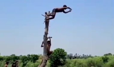 रायबरेली-वायरल हुआ महराजगंज का 'देशी वाटर पार्क: लेकिन जरा संभलकर,यहाँ स्नान करना साबित हो सकता है जानलेवा