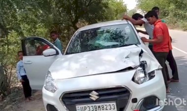 रायबरेली-अचानक सड़क पार कर रही नीलगाय से टकराये कार सवार, बाल बाल बचे