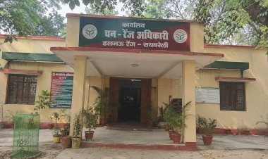 रायबरेली-आंधी में गिरे पेड़ों की आड़ में खेल! ठेकेदारों की मनमानी, वन विभाग के दरोगा आशीष मौर्या बने अंजान