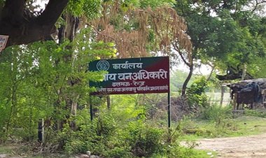 रायबरेली-रेंजर साहब! "अगर भट्ठियां अवैध थीं तो वर्षों तक चल कैसे रहीं?" कार्रवाई के बाद उठे बड़े सवाल