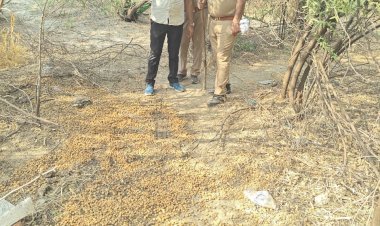 रायबरेली 28 लीटर अवैध कच्ची शराब बरामद, 02 अभियोग पंजीकृत