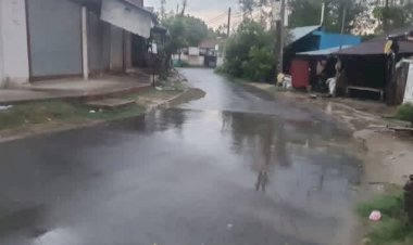 बदला मौसम का मिजाज, बारिश से धान की नर्सरी को मिली संजीवनी