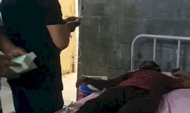 रायबरेली सर्पदंश से बिगड़ी युवक की हालत, प्राथमिक उपचार के बाद जिला अस्पताल रेफर