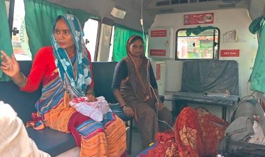 रायबरेली-चारा काटते समय गर्भवती महिला को सर्प ने डसा, हालत गंभीर