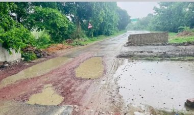 रायबरेली जनपद को उन्नाव कानपुर से जोड़ने वाले मार्ग पर बना पुल वर्तमान समय में हो रहा है प्रशासनिक उपेक्षा का शिकार