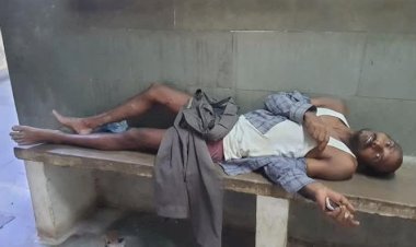रायबरेली पागल सियार के हमले से 2 घायल, किया गया इलाज