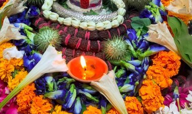 रायबरेली 30 जुलाई से श्रावण मास शुभारंभ,चंद्रपुर मंदिर में नित्य संपन्न हो रहा है बाबा का भव्य श्रृंगार