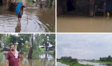 रायबरेली क्षेत्र में आई बाढ़ से हजारों बीघे धान की फसल जलमग्न, किसानों के चेहरो पर छाई मायूसी