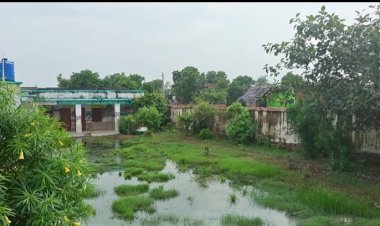 मलिकपुर सरैया प्राथमिक विद्यालय बदहाली का शिकार