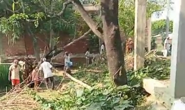 रायबरेली: महिला की बेरहमी से पिटाई का वीडियो वायरल दरोगा प्रवेश तुषार पर गंभीर आरोप