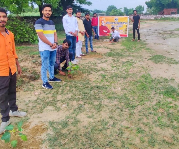 Raibareli-वृक्ष मित्र महा अभियान के तहत एबीवीपी द्वारा किया गया वृहद वृक्षारोपण* 