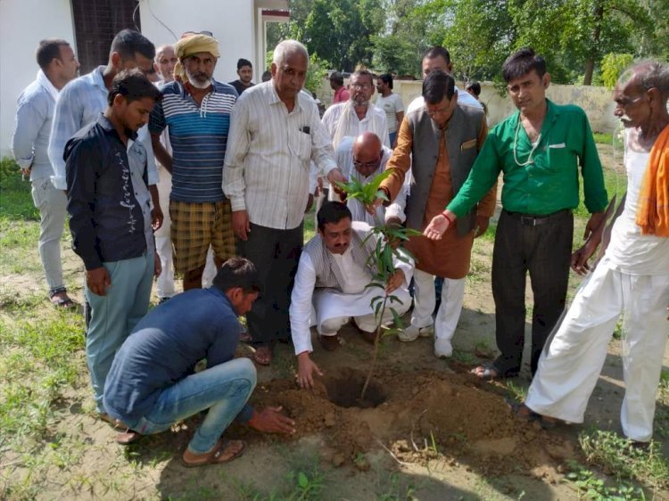 Raibareli- अतुल सिहं ने जनसंपर्क कर सुनी समस्याएं व किया पौधरोपण