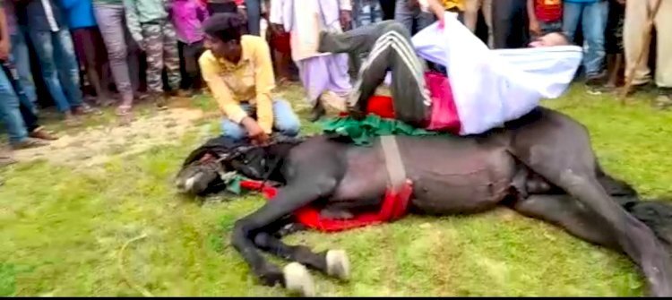 Raibareli-करतब के नाम पर होती रही पशु क्रूरता , तमाशबीनों में शामिल रही पुलिस