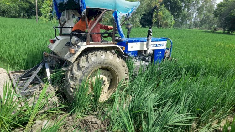Raibareli-चरागाह की जमीन पर किए गए अवैध कब्जे पर चला प्रशासन का डंडा