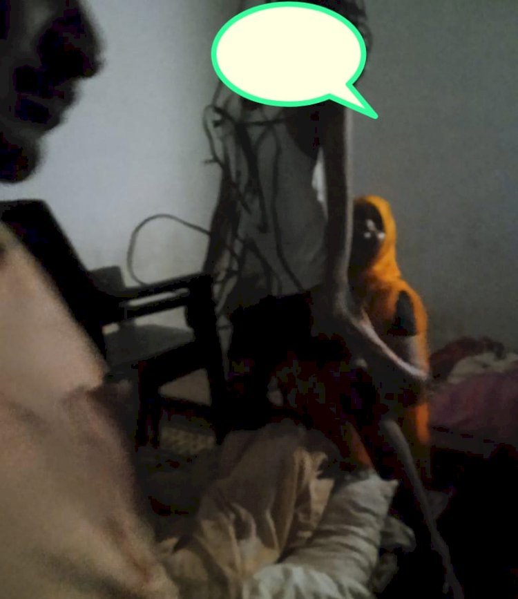 रायबरेली-आखिर ऐसा क्या हुआ जो एकलौतें पुत्र ने लगाई फांसी,मौत