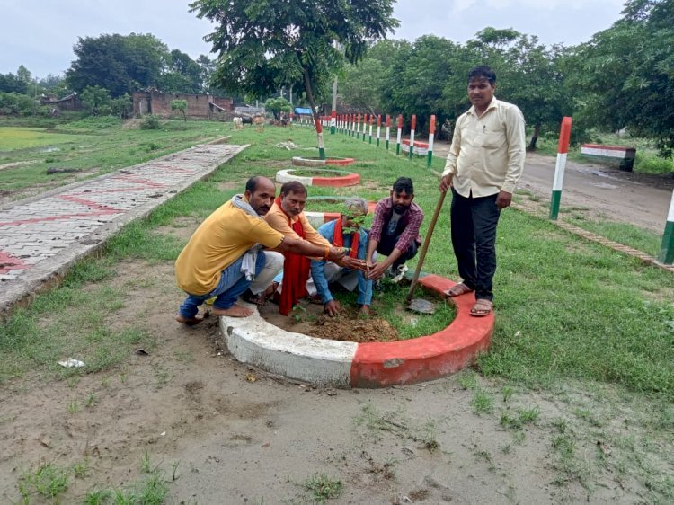 Raibareli-सेवा पखवाड़ा के तहत भाजपाइयों साफ-सफाई कर किया वृक्षारोपण*