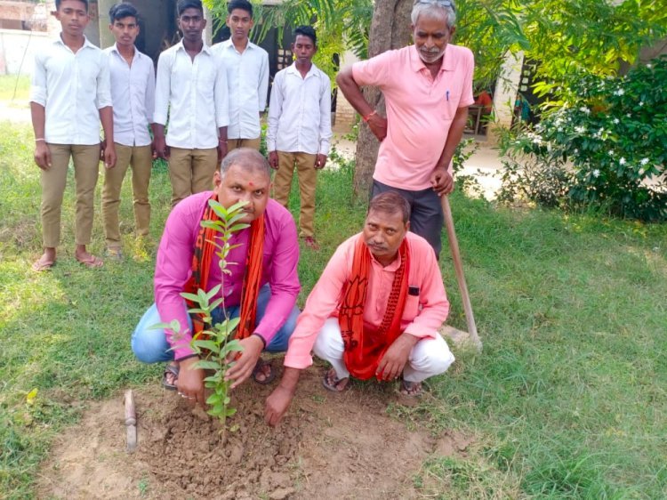 Raibareli-भाजपाइयों ने गांव-गांव जाकर किया वृक्षारोपण*