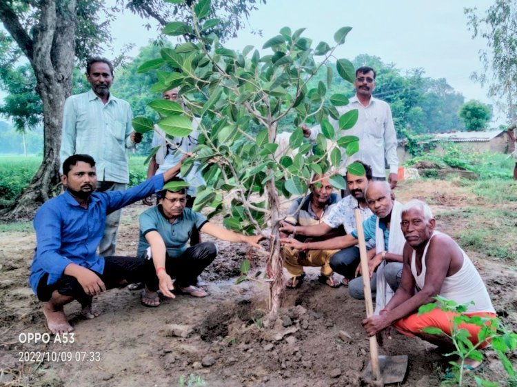 रायबरेली-मुक्तेश्वर धाम पर समाजसेवियों द्वारा रोपा गया वटवृक्ष