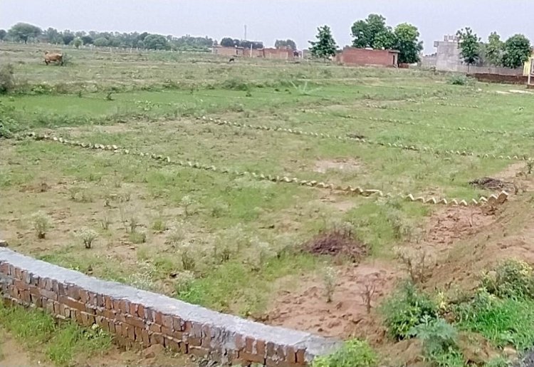 रायबरेली-न नक्सा न लेआउट सैनिक विहार में कौन करवा रहा है प्लाटिंग