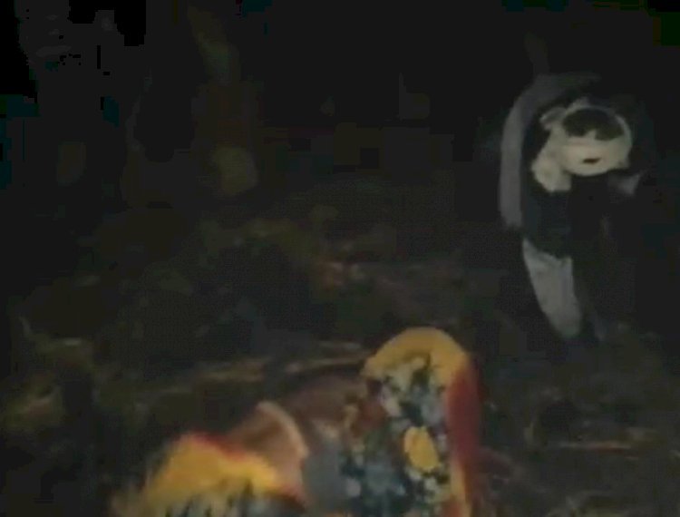 रायबरेली- चूल्हे से निकली चिंगारी से गरीब का जला आशियाना