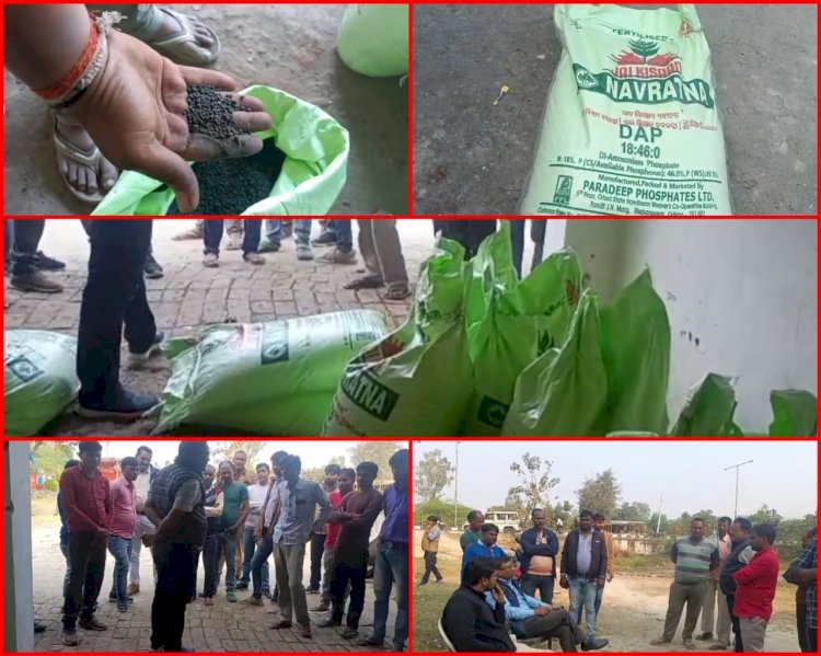 Raibareli-किसान की शिकायत पर कृषि विभाग की टीम ने पकड़ी आठ बोरी नकली डीएपी खाद