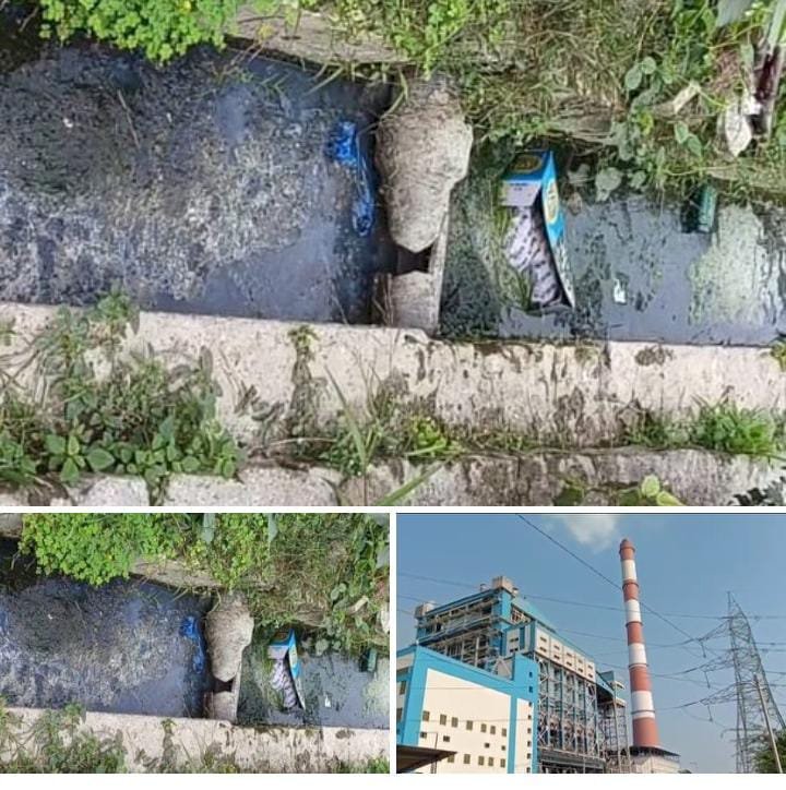 रायबरेली-प्रधानमंत्री की महत्वपूर्ण योजना  गंगा सफाई अभियान को एनटीपीसी लगा रहा पलीता,,,