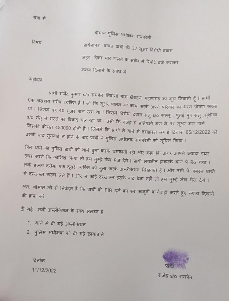 रायबरेली- आखिर कैसे मरे 37 सुअर,,,,,,?