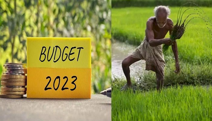 Budget 2023 :एग्रोकेमिकल उद्योगों की सरकार से मांग- फसल सुरक्षा रसायनों के लिए आयात शुल्क में हो कटौती…