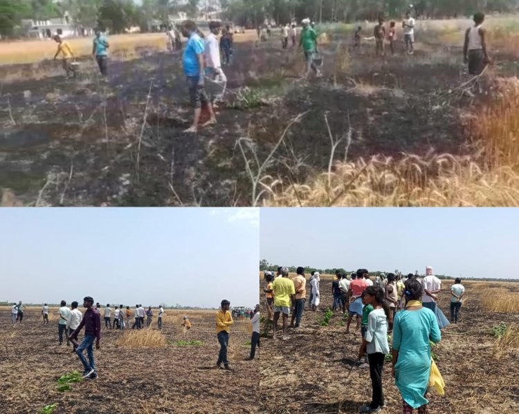 Raibareli-हाईटेंशन के तार टकराने से उठी चिंगारी , आठ बीघे गेंहू की फसल जलकर खाक