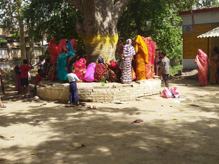 Raibareli-वट वृक्ष पूजा कर पति के लिए मांगी लंबी उम्र की कामना*