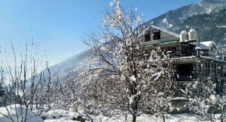 मई में हो रही बर्फबारी से विलुप्ति की कगार पर हिमालय की जडी-बूटियां, वैज्ञानिकों ने जताई चिंता !