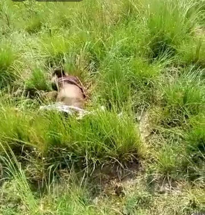 रायबरेली- रेलवे ट्रैक के किनारे अज्ञात व्यक्ति का शव मिलने से मचा  हड़कंप,,,,,,?