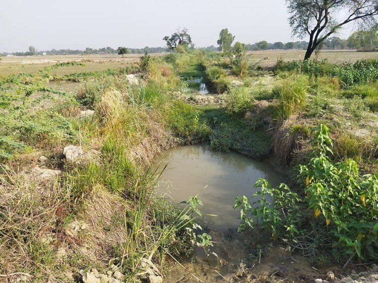 Raibareli-समय से सफाई ना होने से किसानों को रहे काफी दिक्कत कुसमी माइनस पटा