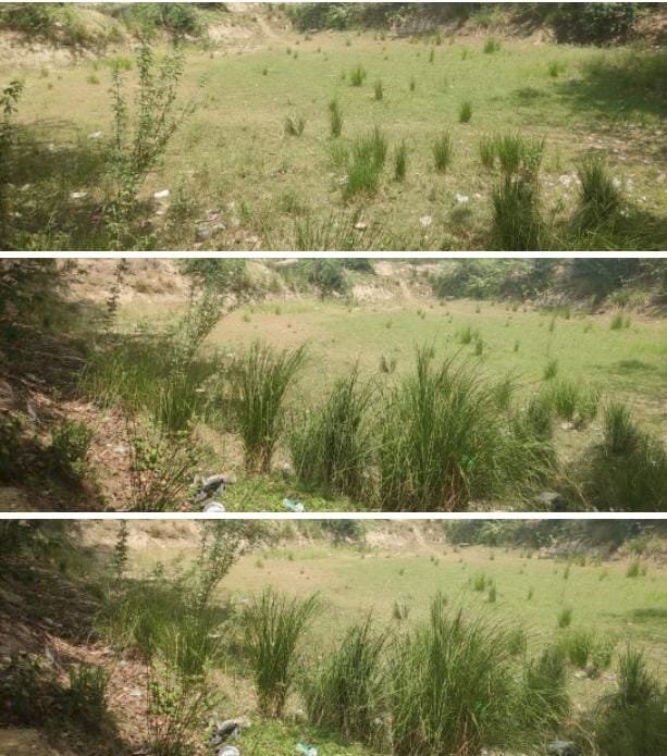 रायबरेली-सूखे पड़े है सब तालाब, प्यास बुझाने को तड़प रहे बेजुबान,,,,,,?