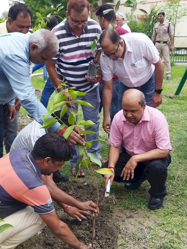 Raibareli-आरेडिका में पर्यावरण संरक्षण एवं कार्बन उत्सर्जन को कम करने के लिए किया गया वृक्षारोपण*