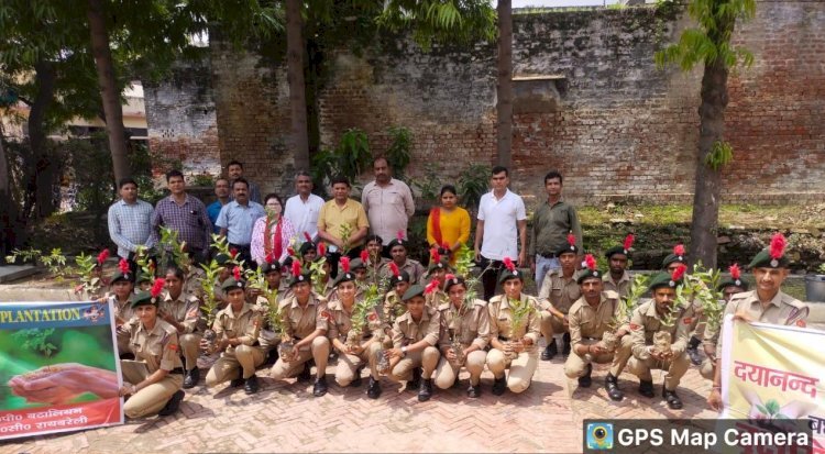 Raibareli-दयानंद पीजी कॉलेज प्राचार्य ने किया वृक्षारोपण 