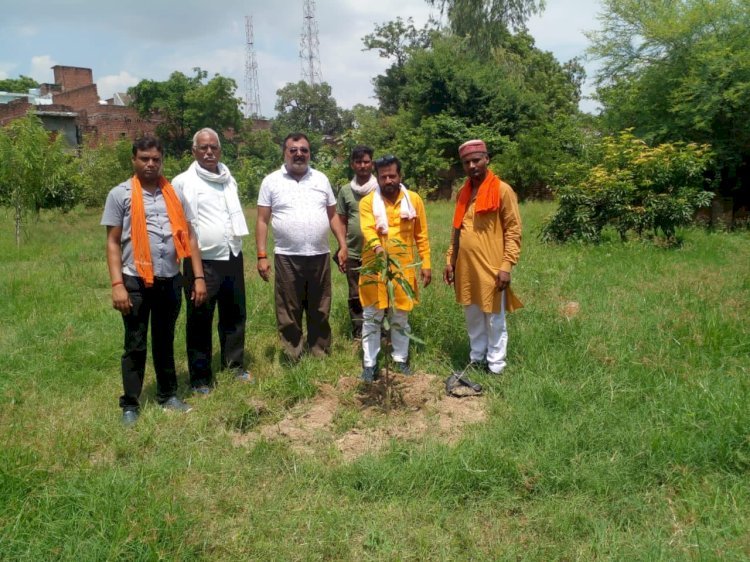 रायबरेली-सरकार के मिशन वृहद पौधा रोपण अभियान मिशन के तहत किया पौधा रोपण,,,,,?