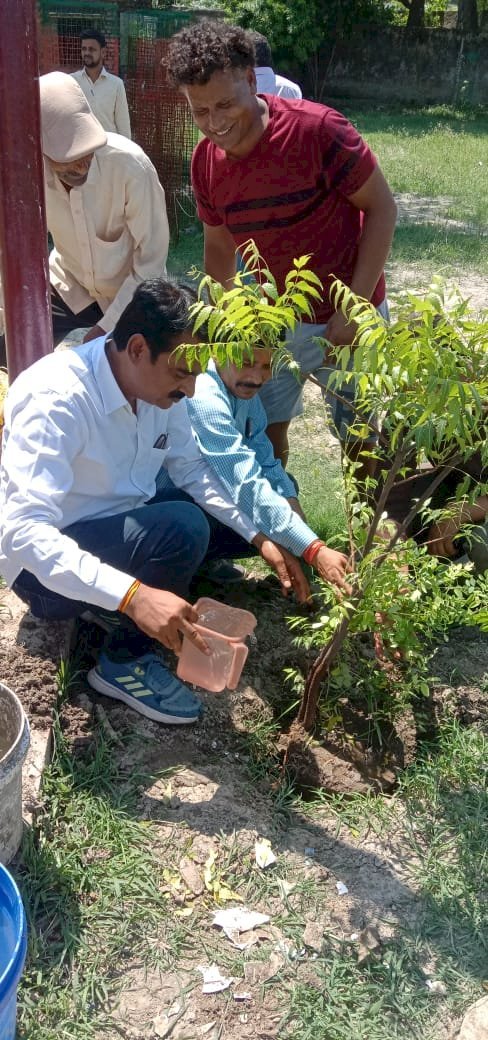 रायबरेली-वृक्षारोपण अभियान के तहत नगर पंचायत अध्यक्ष एवं ईओ ने किया पौधरोपण,,,,