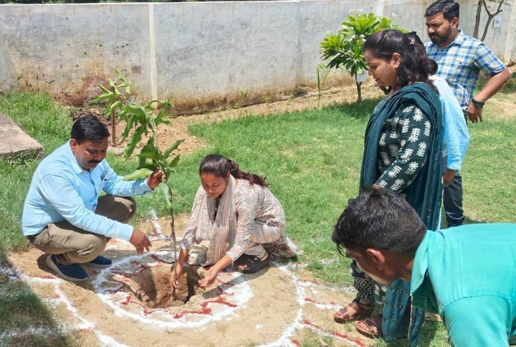 Raibareli-गोद लिए परिषदीय विद्यालय में राही बीडीओ ने किया पौधरोपण